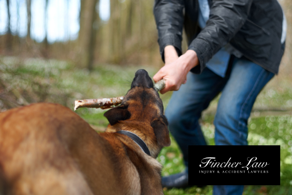 Common causes of dog bites